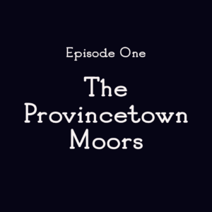 The Provincetown Moors